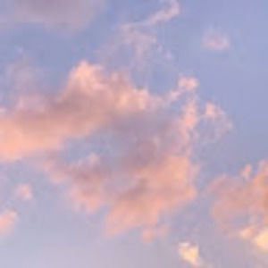 Meet your Posher, Lainey